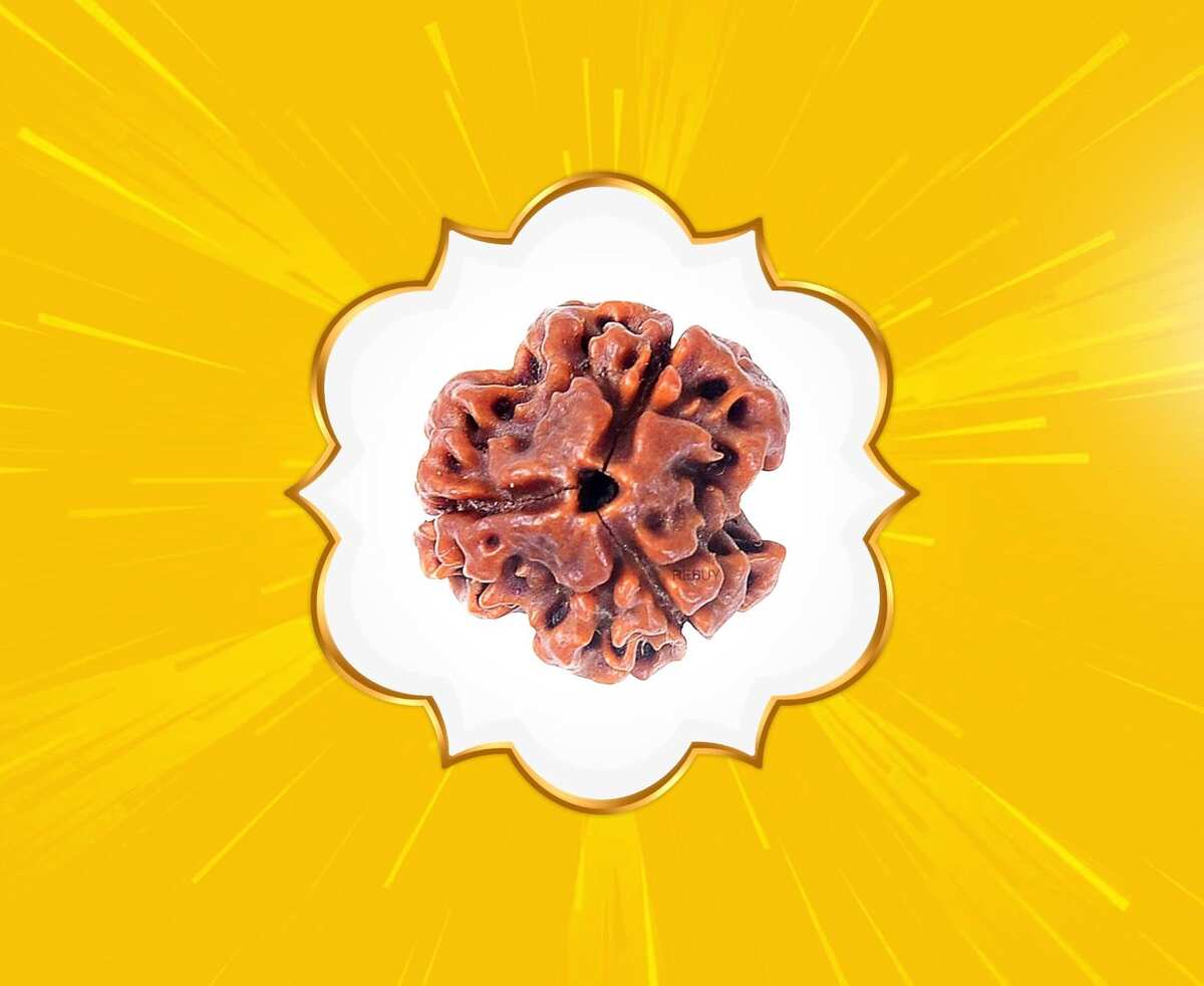 3 Mukhi Rudraksha (Nepal Origin)