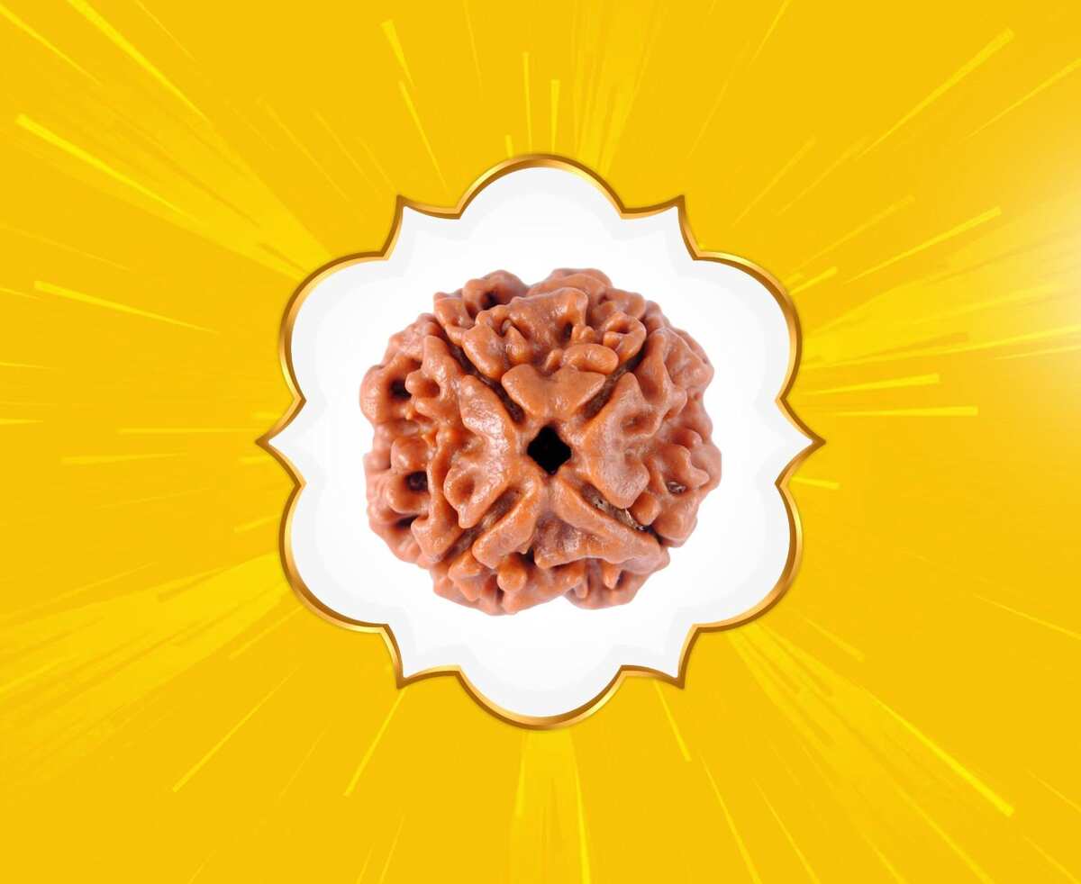 4 Mukhi Rudraksha (Nepal Origin)