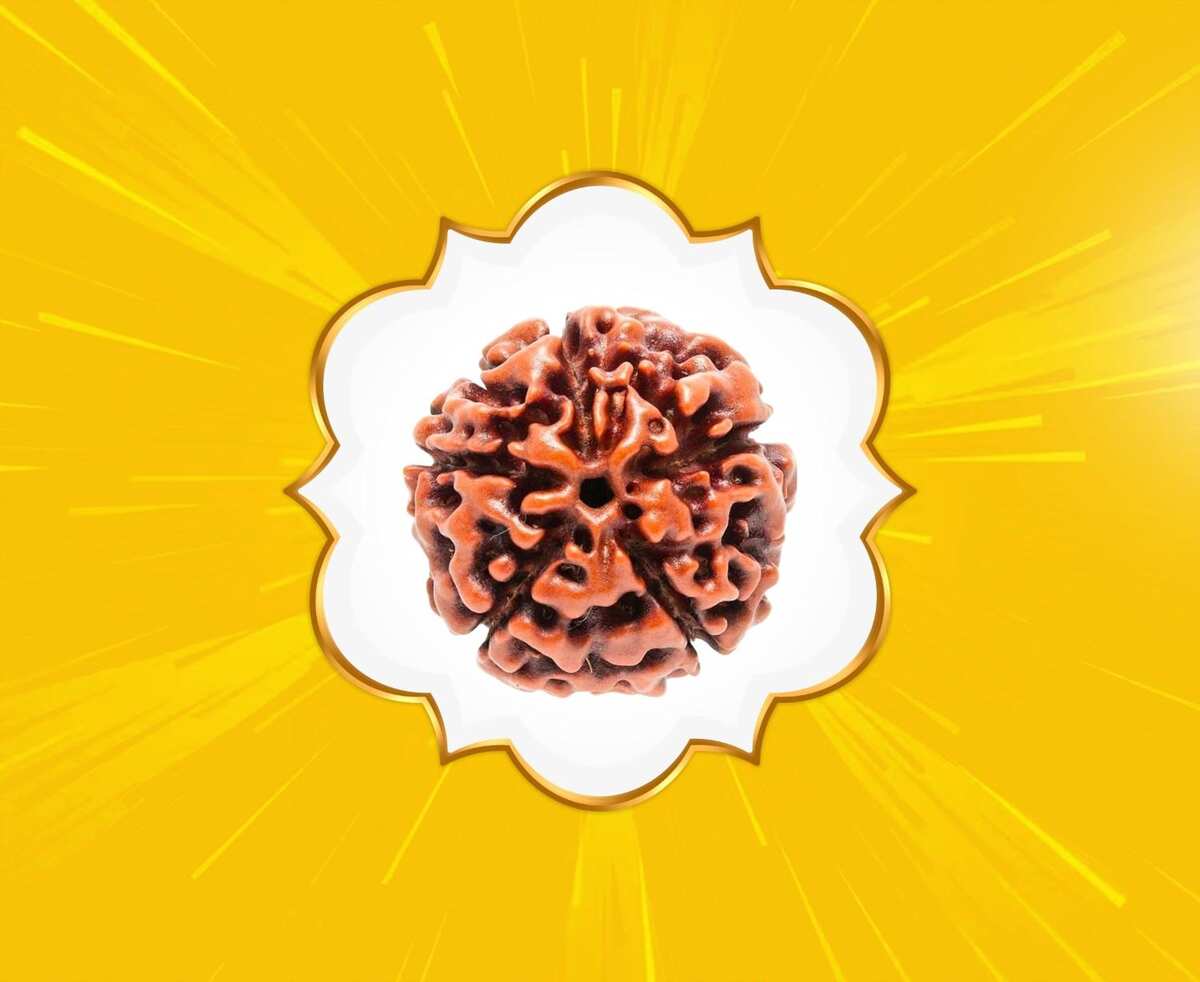 5 Mukhi Rudraksha (Nepal Origin)