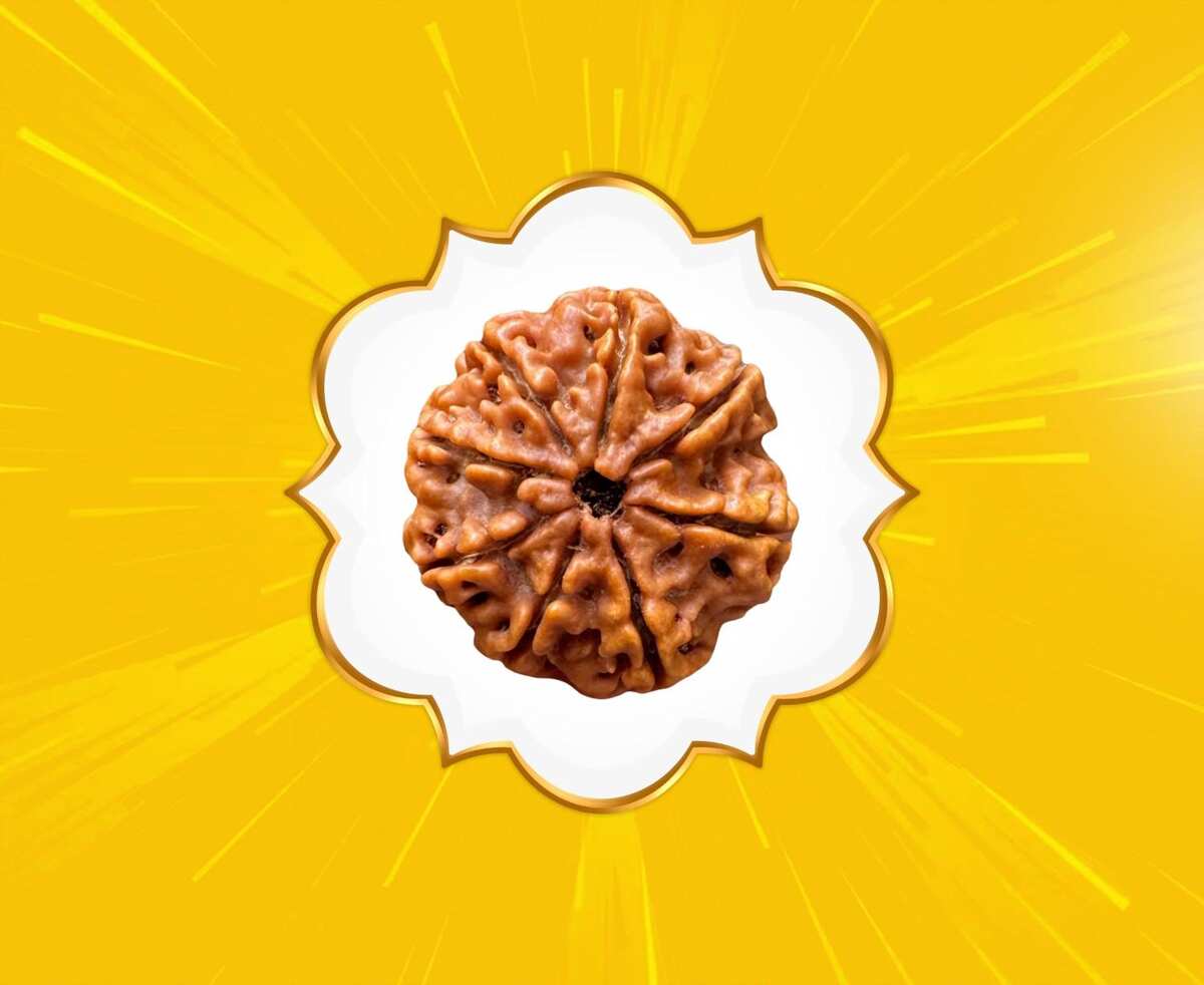 8 Mukhi Rudraksha (Nepal Origin)