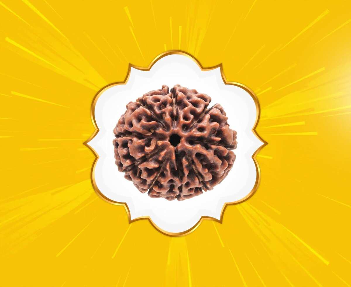 9 Mukhi Rudraksha (Nepal Origin)