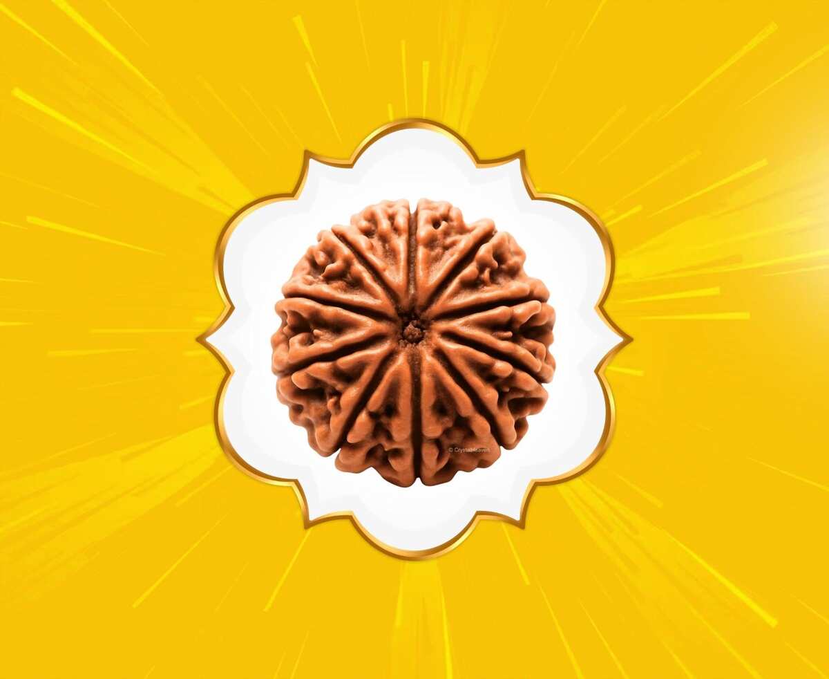 10 Mukhi Rudraksha (Nepal Origin)